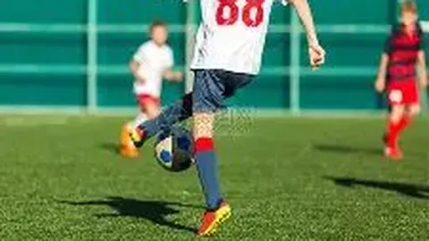 开宝体育 产品 071451 hvd